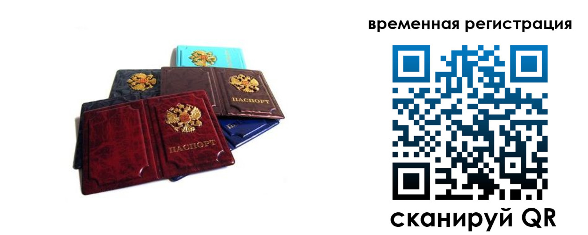прописка гарантия в Зиме